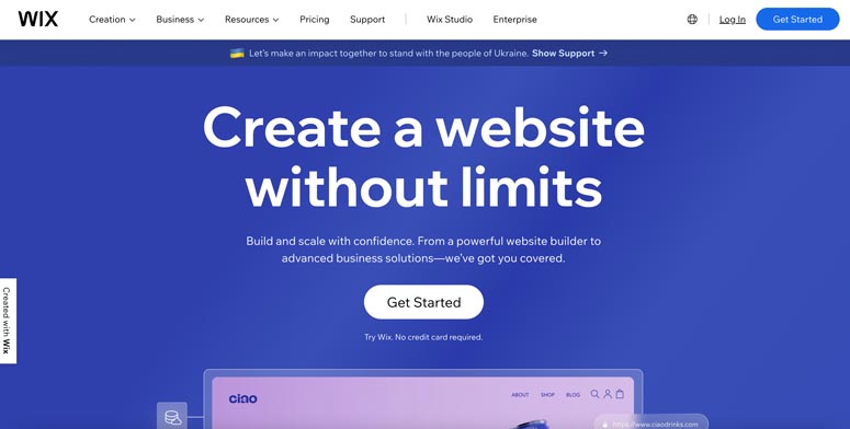 Image of the company homepage.